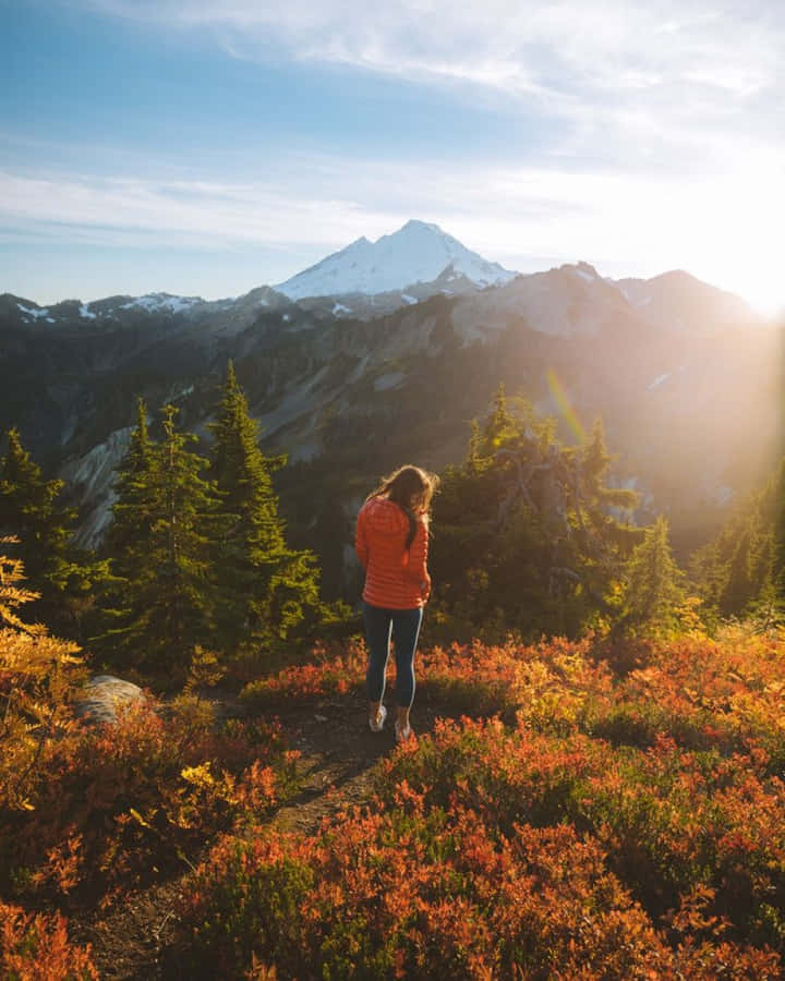 Breathtaking Fall Hike In The Autumn Forest Wallpaper