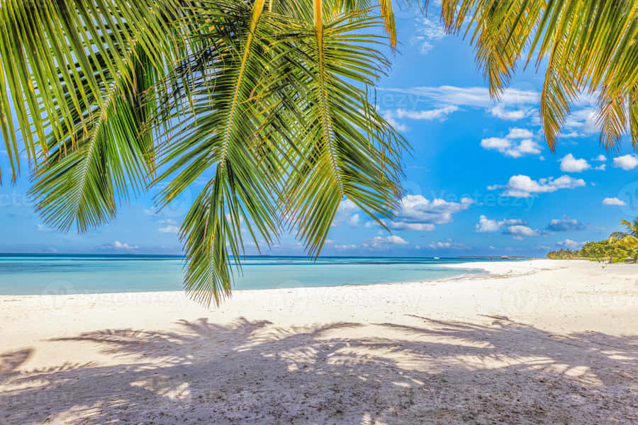 Breathtaking Sunset At The Summer Beach Wallpaper