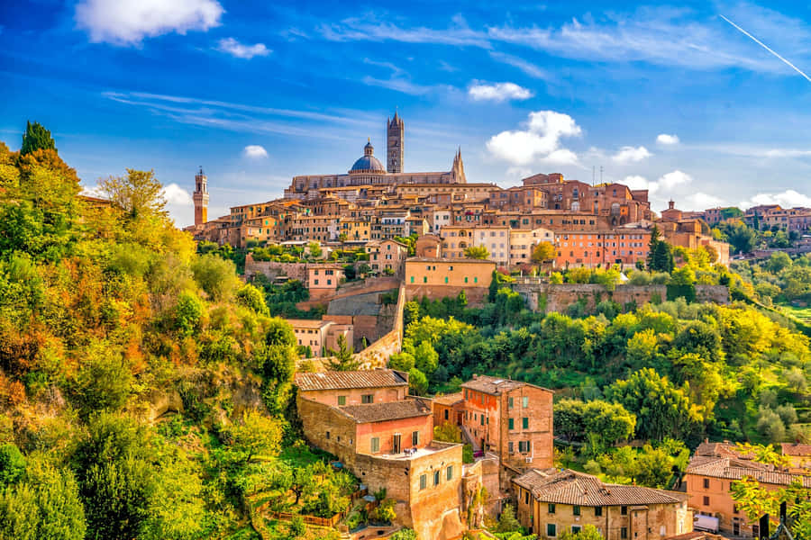 Brick Houses In Siena Italy Wallpaper