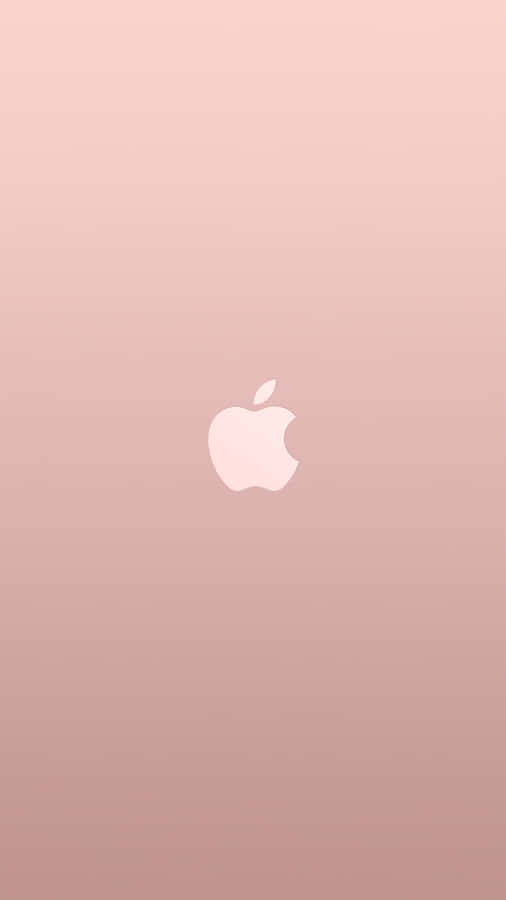 Bright And Beautiful Pink And White Combination Wallpaper