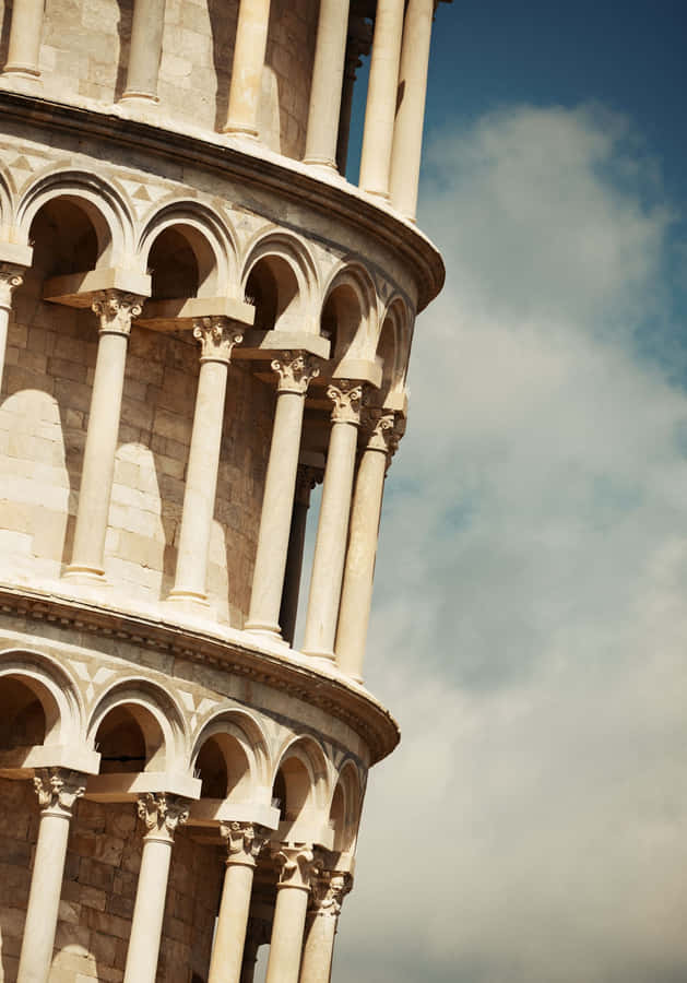 Bright Morning In A Field Of Green Wallpaper