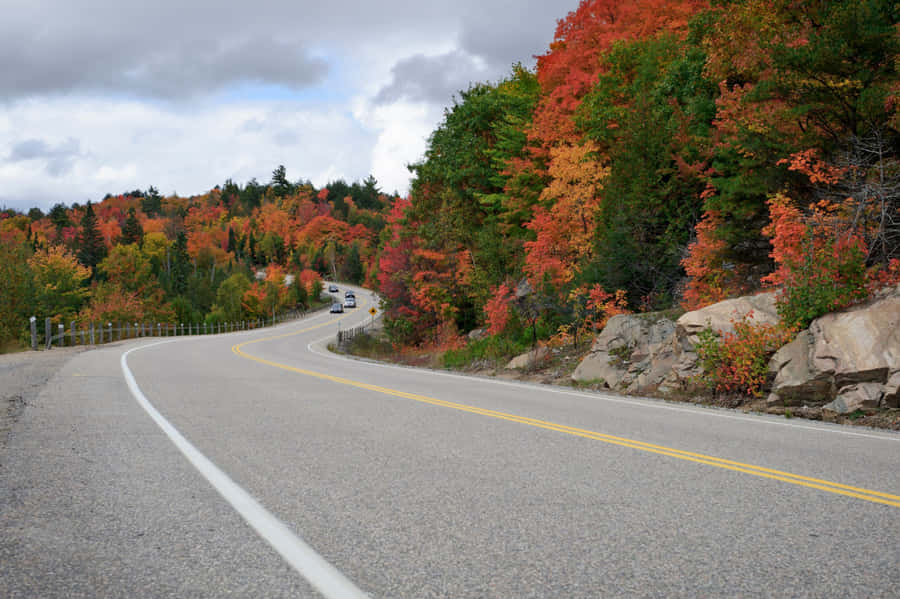 Bright Orange Pink Skies Over Pastel Yellow Landscape Wallpaper
