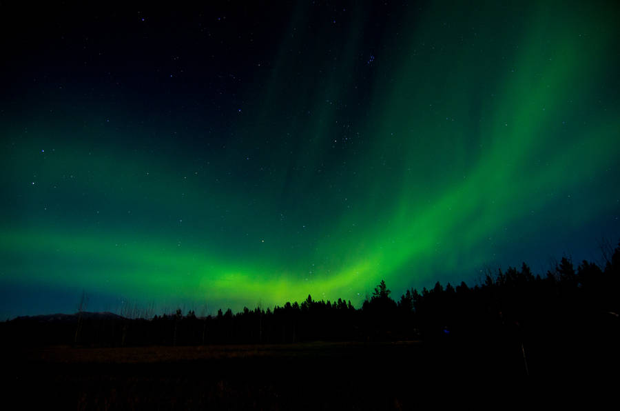 Bright Polar Northern Lights Wallpaper
