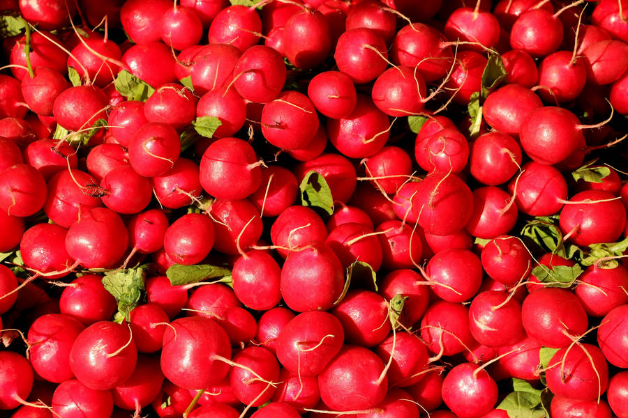 Bright Red Globe Radish Wallpaper