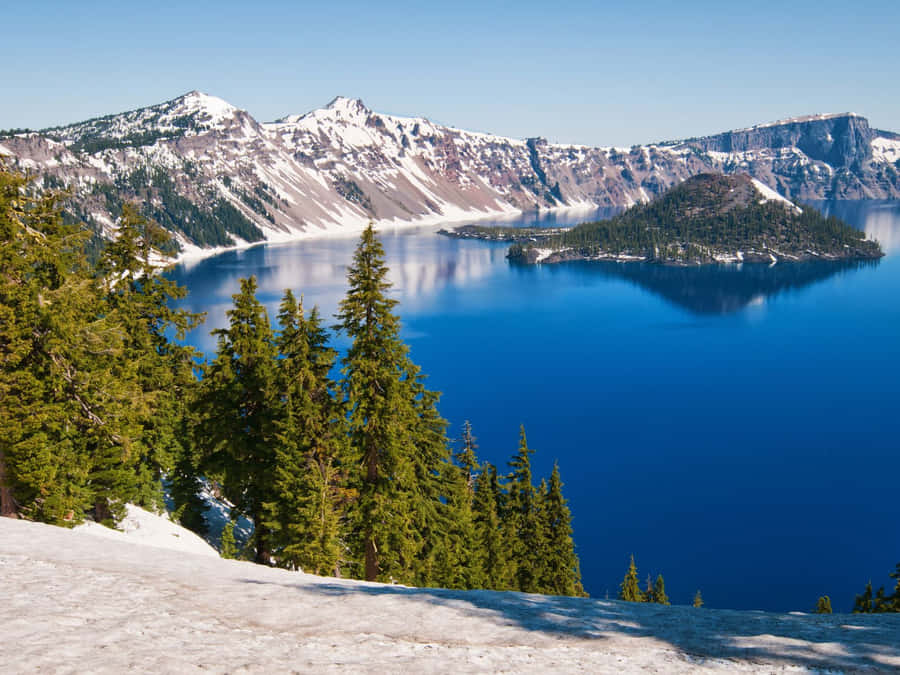 Bright Yellow Honeycomb Pattern Wallpaper