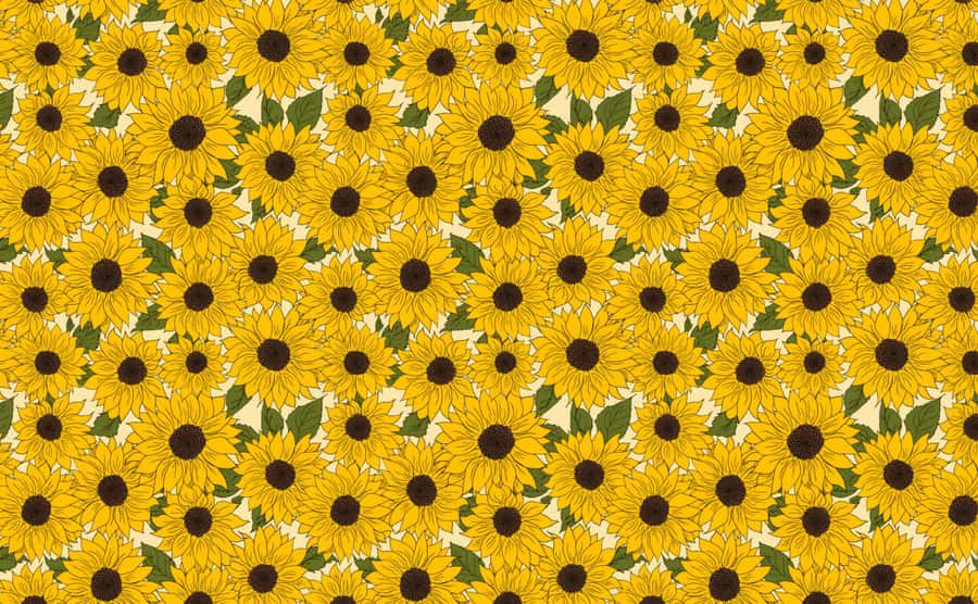 Bright Yellow Sunflower In Full Bloom Wallpaper