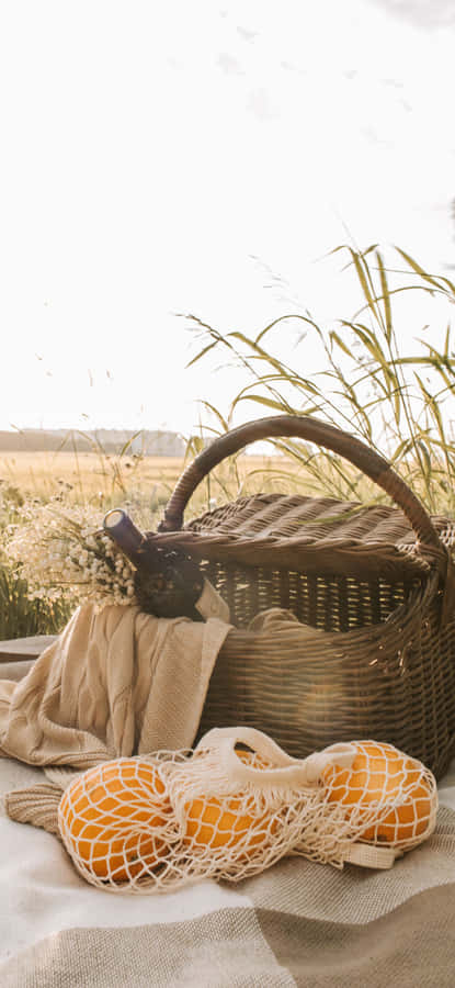 Brighter Than The Stars Wallpaper