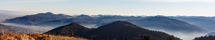 Brightly Colored Rainbow Over A Lush Green Forest Wallpaper