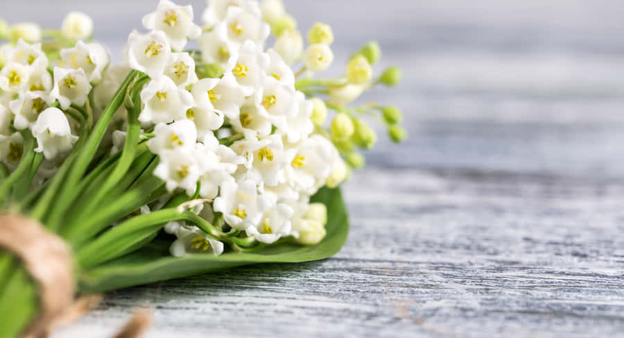 Brightly Colored Stream Of Light Encircling The Night Sky Wallpaper