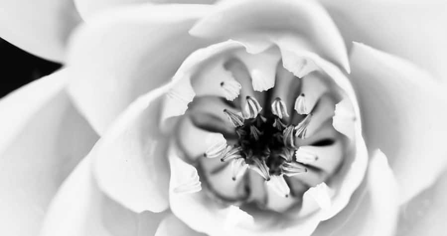 Brightly Lit Night City Skyline Wallpaper