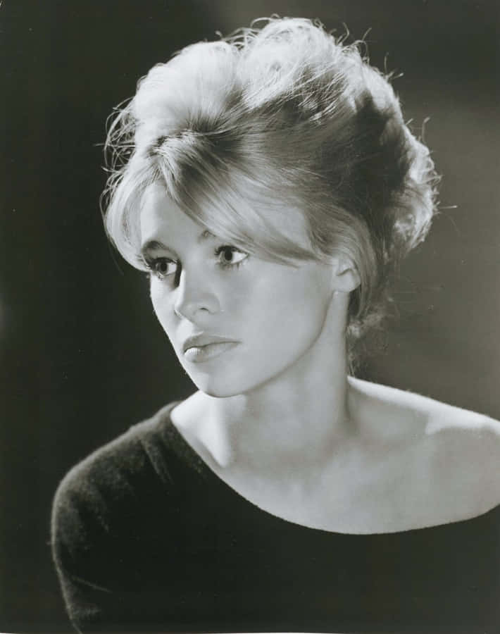 British Actress Julie Christie In A Classic Stance Wallpaper