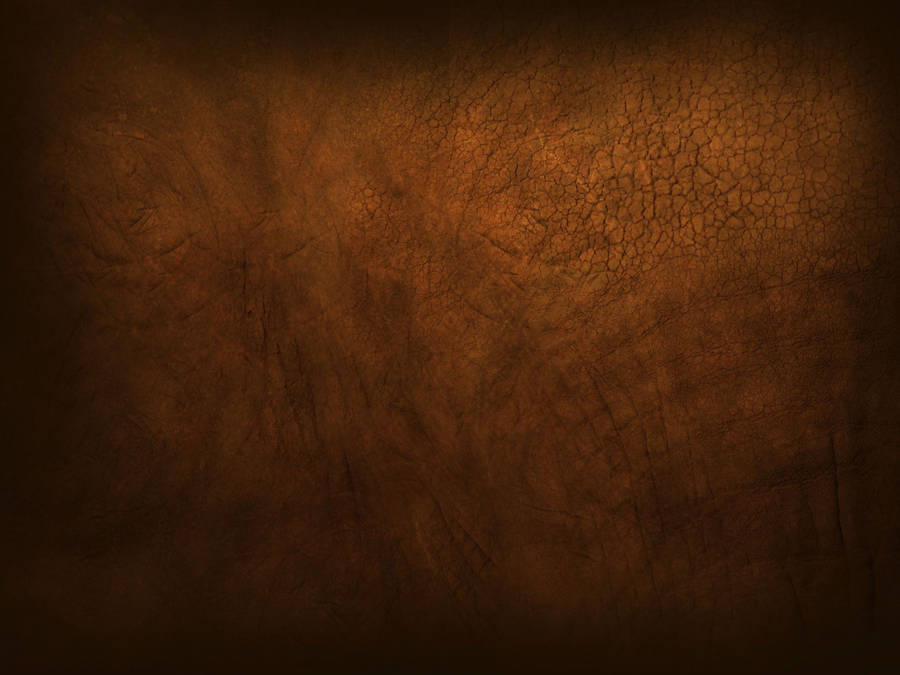 Brown Dry Land Texture Wallpaper