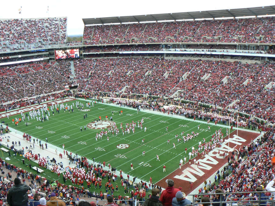 Bryant-denny Stadium Football Field Wallpaper