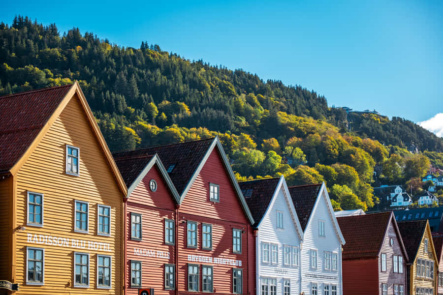 Bryggen Historic Norwegian Buildings Wallpaper