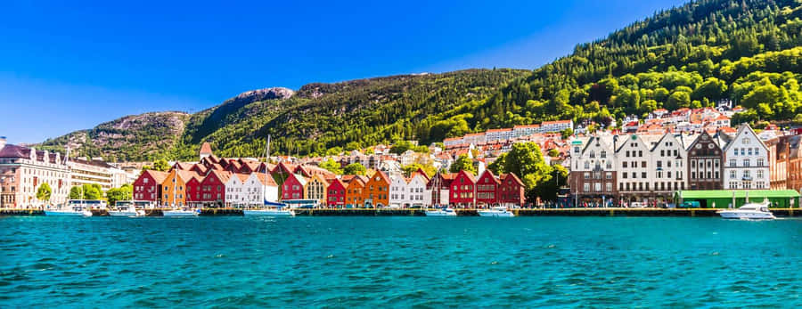 Bryggen Waterfront Panorama Bergen Norway Wallpaper