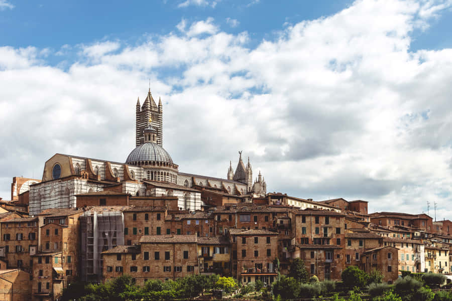 Buildings Near Duomo Di Siena Wallpaper