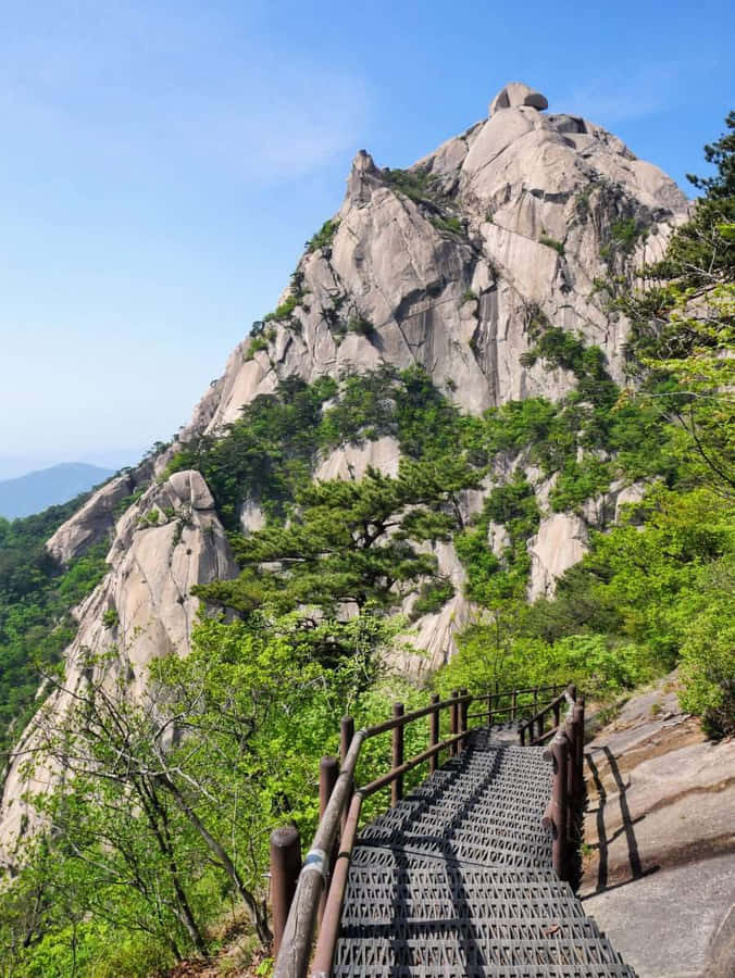 Bukhansan National Park Mountain Trail Wallpaper