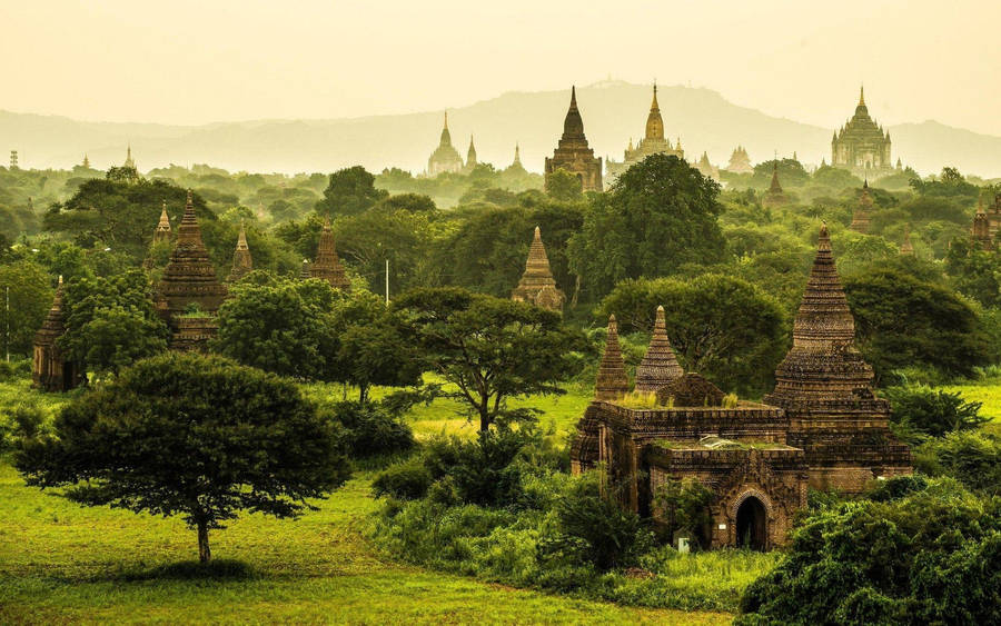 Burma Green Trees Wallpaper