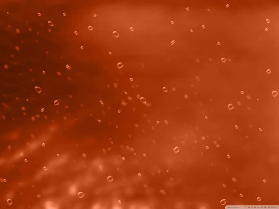 Burnt Orange Bokeh Background Wallpaper