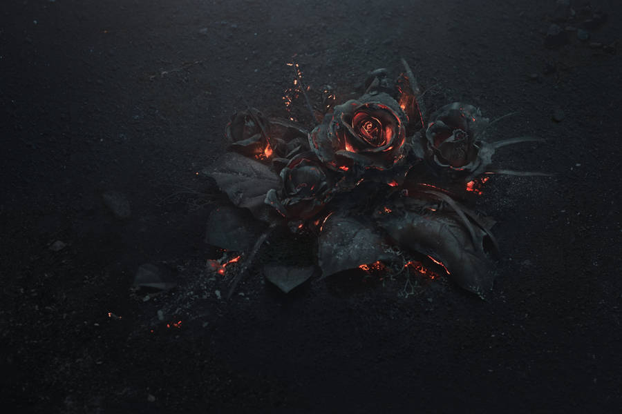 Burnt Roses Dark Theme Wallpaper