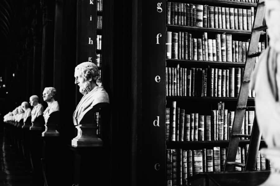 Bustsin Classic Library Wallpaper