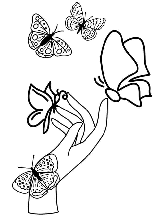 Butterfliesand Hand Coloring Page Wallpaper