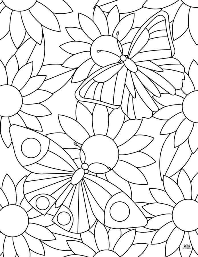 Butterfly Coloring Pages: Unleash Your Creativity