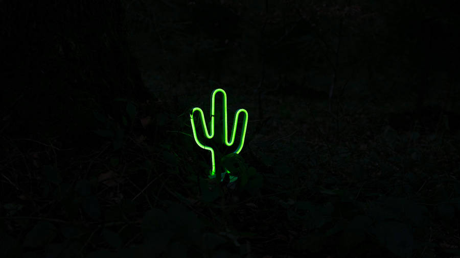 Cactus Neon Green Aesthetic Wallpaper