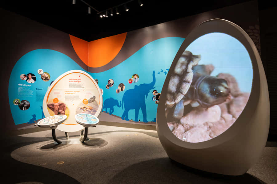 California Science Center Exhibit Wallpaper