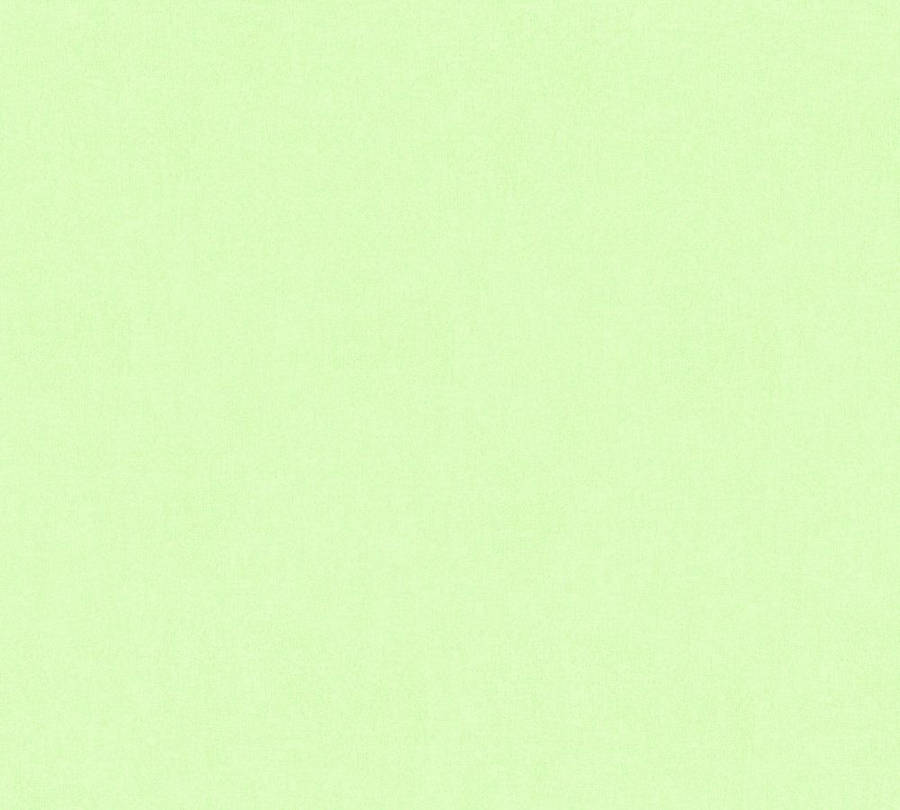 Calm Plain Light Green Wallpaper