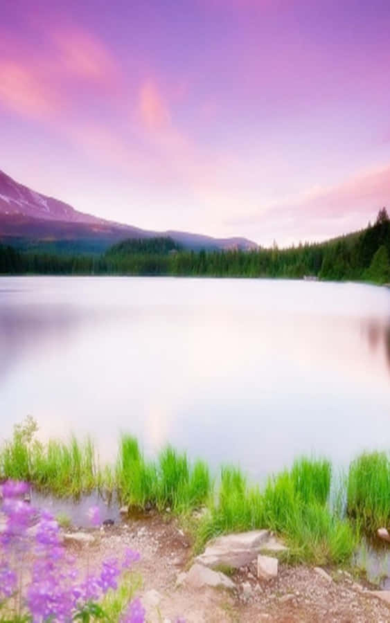 Calm Seas And Sunny Sky In Tropical Paradise Wallpaper