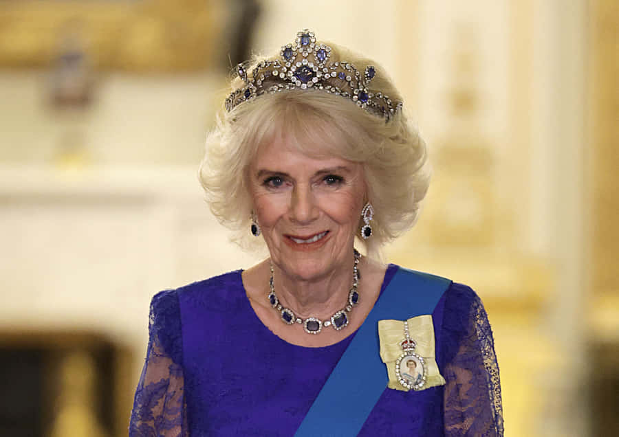 Camilla Blue Dress Tiara Wallpaper