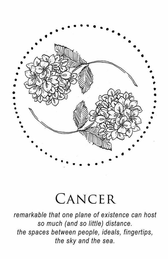 Cancer Aesthetic Floral Symbol Art Wallpaper