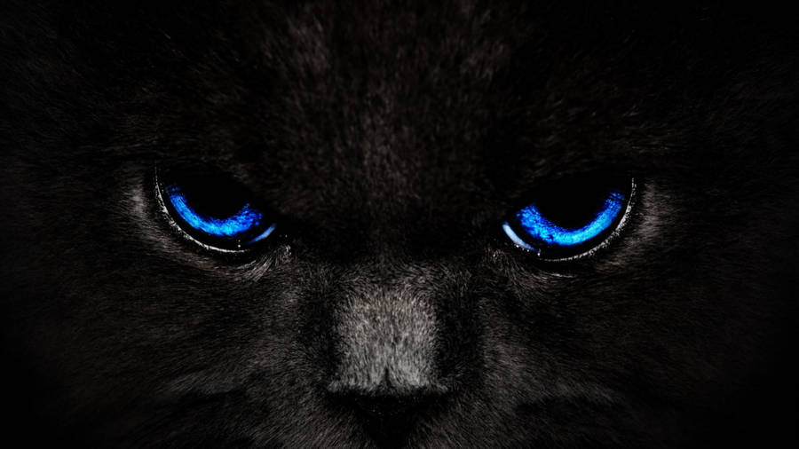 Canva Digital Cat Eyes Wallpaper