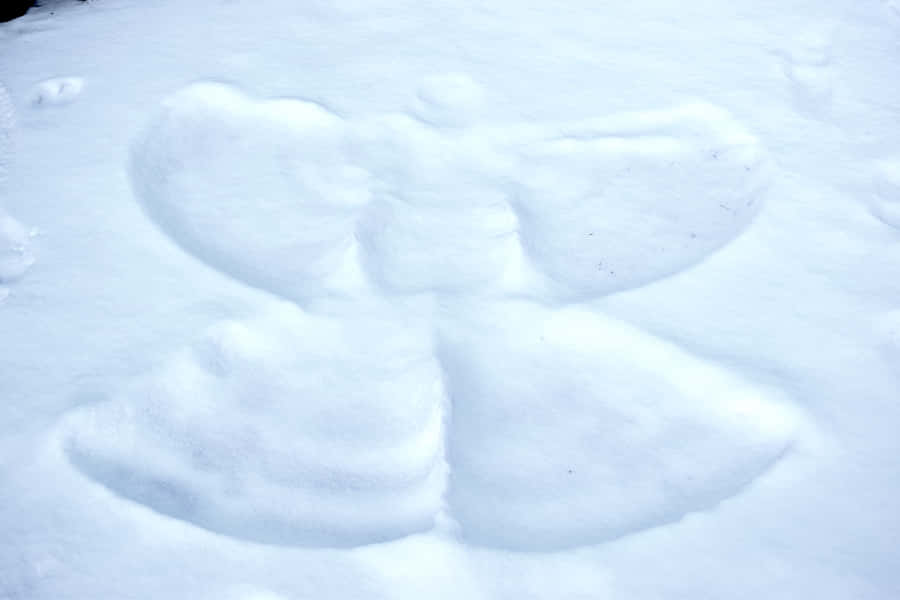 Caption: Beautiful Snow Angel On A Winter Day Wallpaper