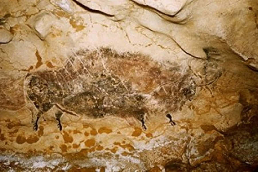 Caption: Beneath The Surface: Exploring The Marvel Of Lascaux Caves Wallpaper