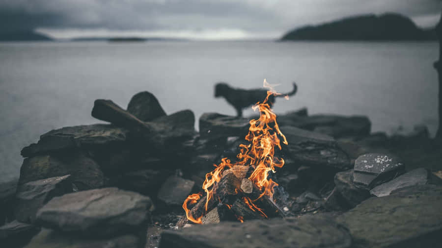 Caption: Cozy Fall Bonfire Gathering Wallpaper