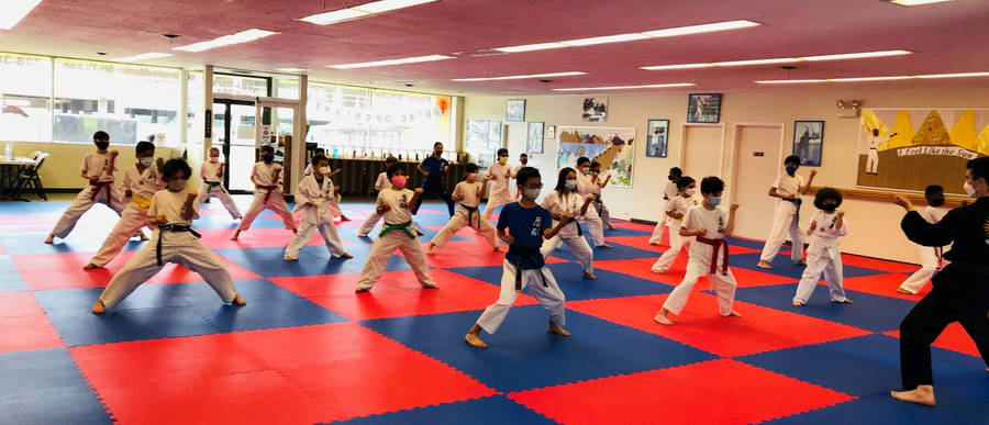 Caption: Diligent Young Karate Students Training In A Traditional Dojo Wallpaper