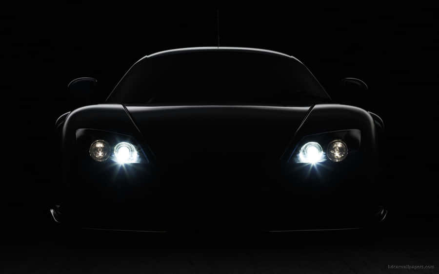 Caption: Elegant Noble Woman In A Palace Wallpaper