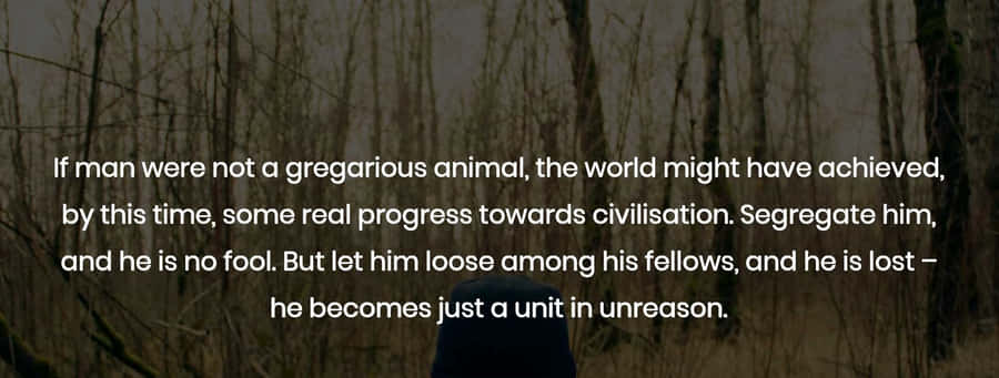 Caption: Gorilla Contemplating In Its Serene Habitat Wallpaper