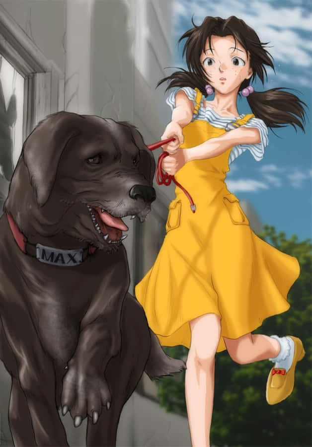 Caption: Hikari Horaki From Neon Genesis Evangelion Wallpaper