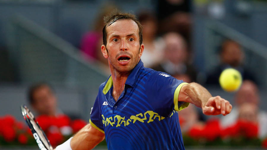 Caption: Pro Tennis Player Radek Stepanek Concentrating On Game Wallpaper
