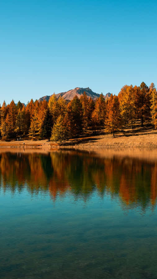 Caption: Serene Fall Lake - Discover The Beauty Of Changing Seasons At Fall Lake! Wallpaper