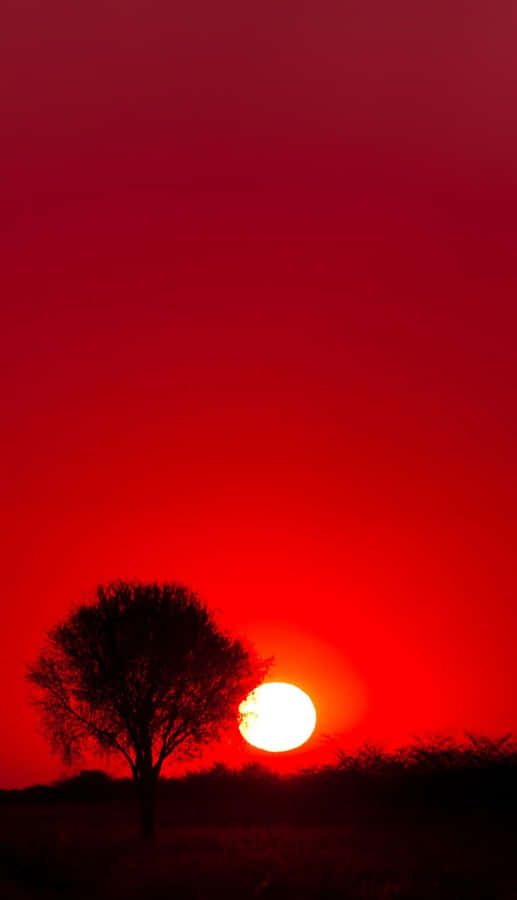 Caption: Stunning Red Sunset Wallpaper