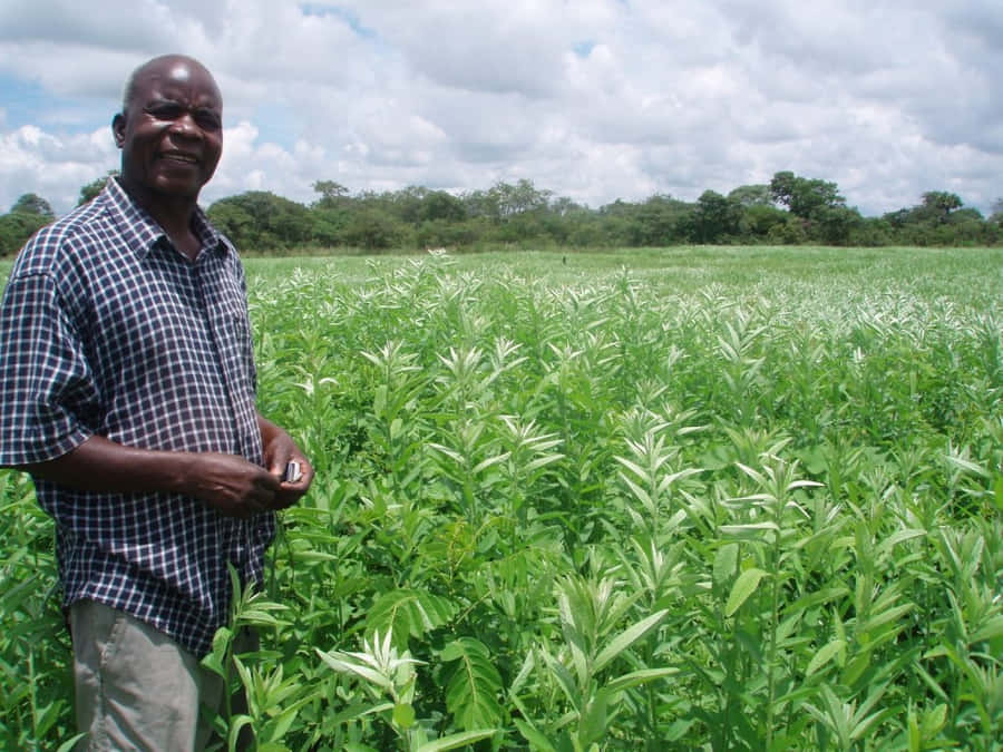 Caption: Sustainable Organic Farming At Its Finest Wallpaper