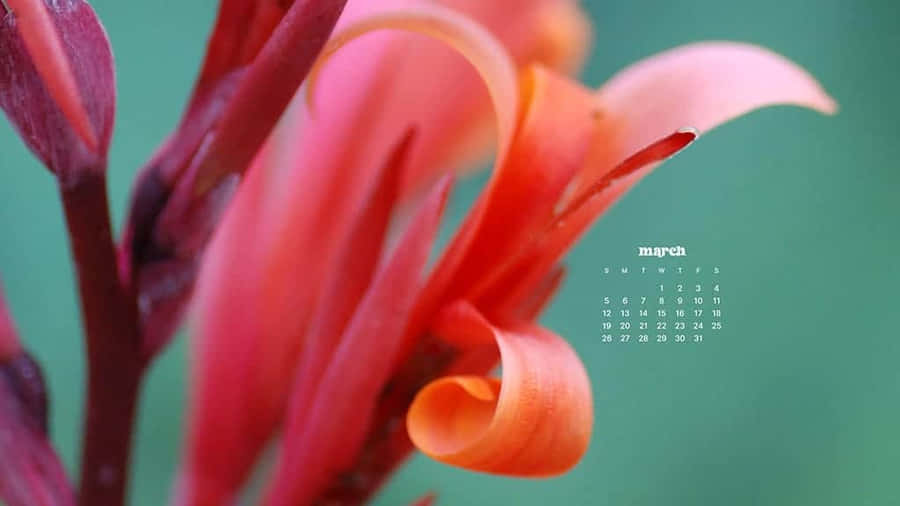 Caption: Vibrant March Desktop Background Wallpaper