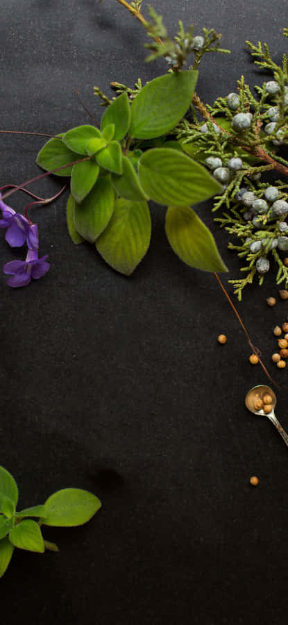 Captivating Aromatherapy: The Alluring Essence Of Essential Oils Wallpaper