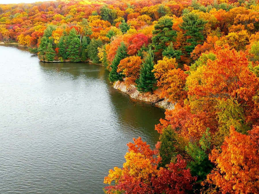 Captivating Autumn Scenery At The Lake Wallpaper