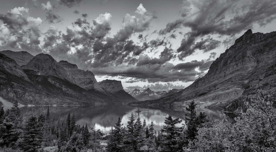 Captivating Black And White Landscape Wallpaper