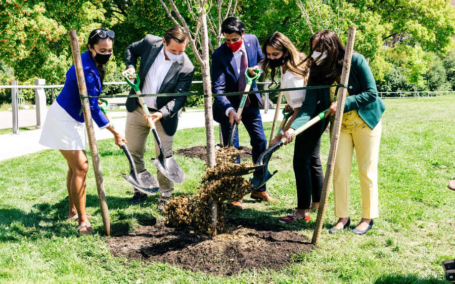 Captivating Brampton Downtown View Wallpaper